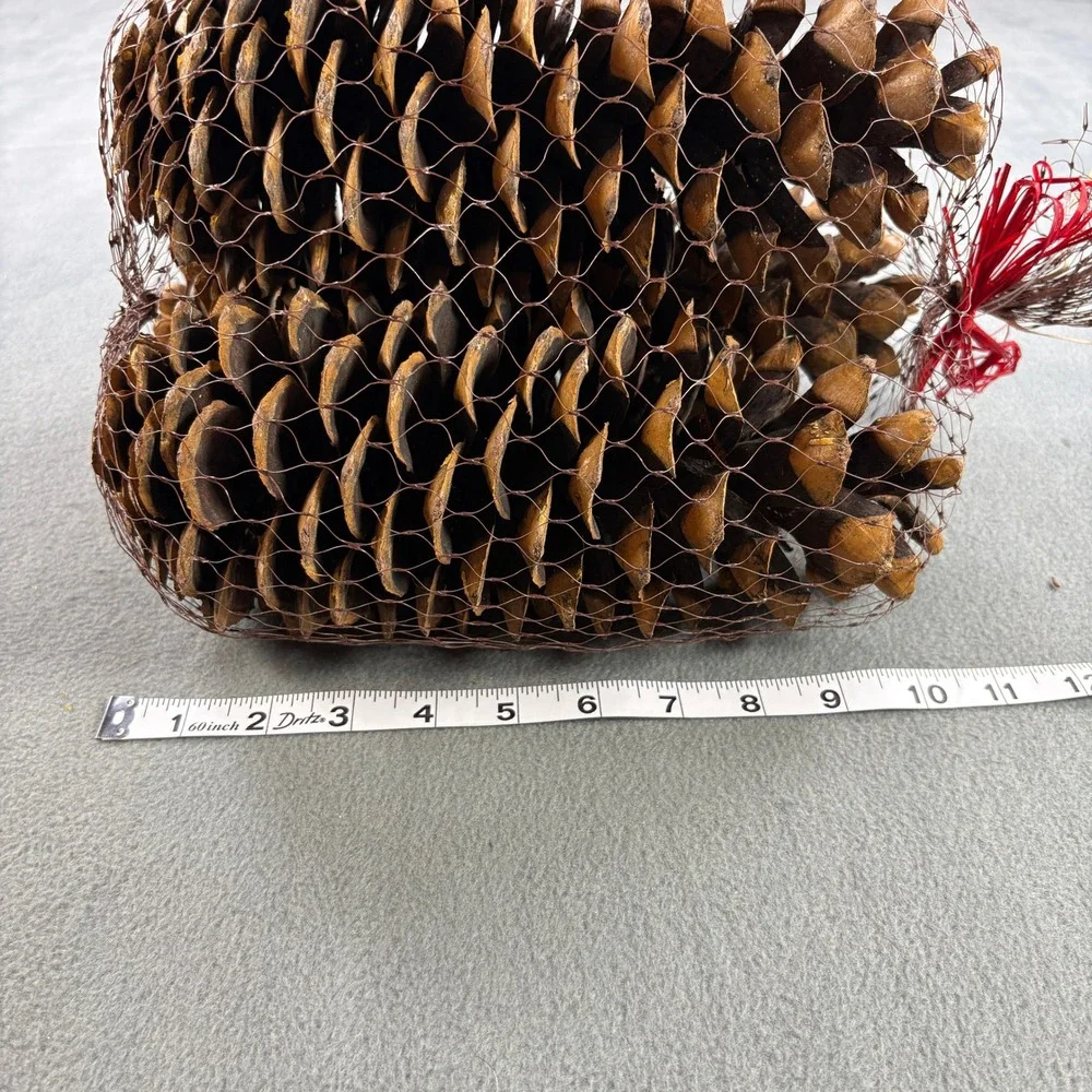 Large Natural Decorative Pine Cones Set of 3 Brown Mesh Bag Red Bow Rustic Decor